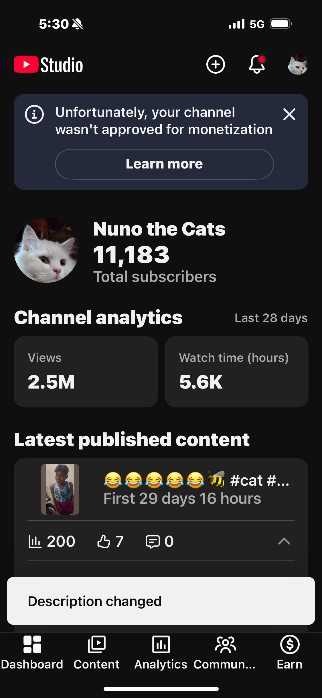 Channel screenshot 2